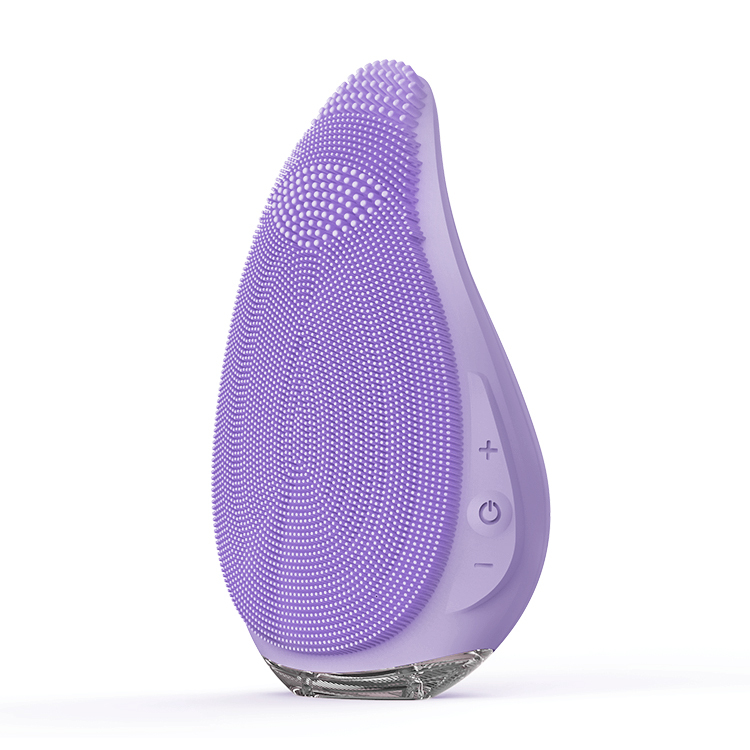 Viola
