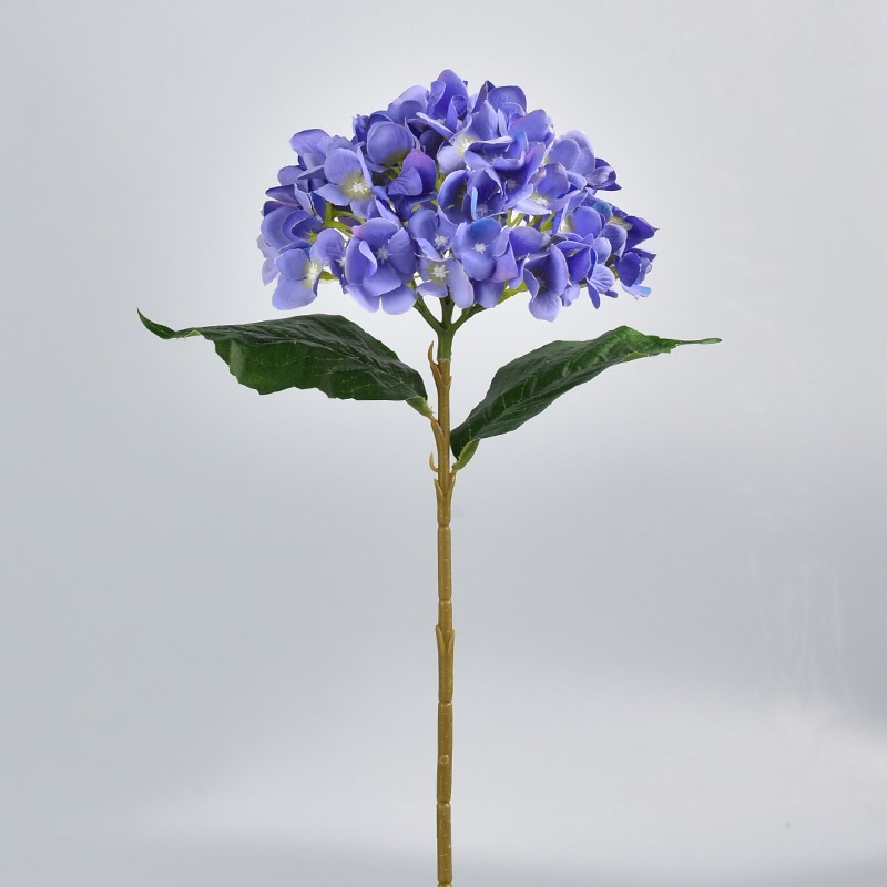 Hortensia azul claro