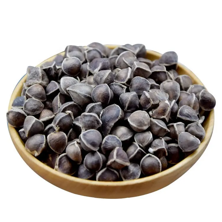 Vente en gros de graines de moringa séchées naturelles de haute qualité à vendre thé aux graines de moringa