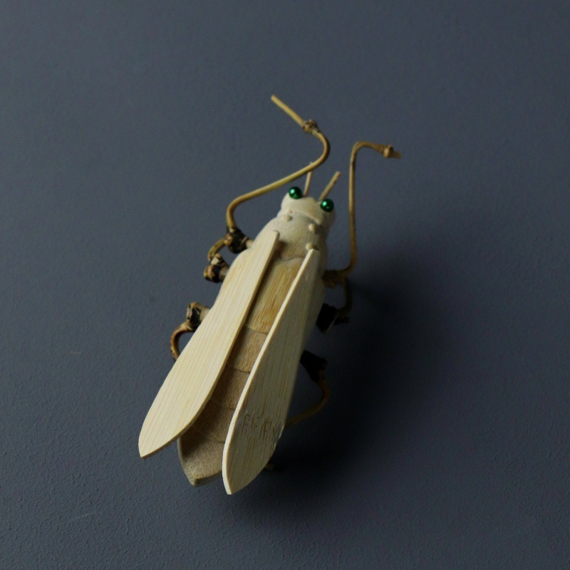 cicada