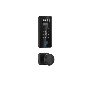 Blocco completamente automatico Tuya telecomando biometria porta impronta digitale serratura riconoscimento facciale con fotocamera