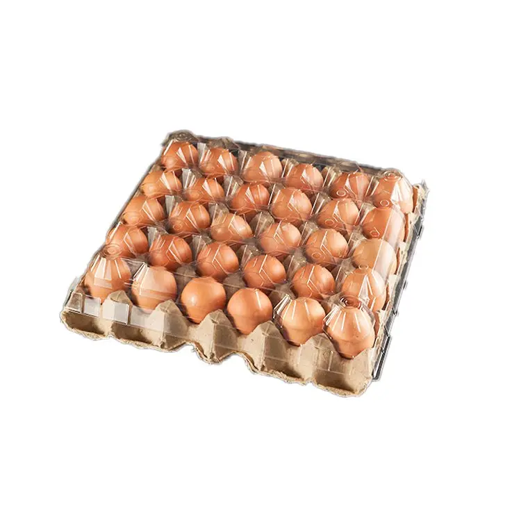 صينية بيض مقاومة للسقوط من الشركة المصنعة شفافة 30 خلية من البلاستيك 15 خلية مع غطاء بلاستيكي قابل لإعادة الاستعمال