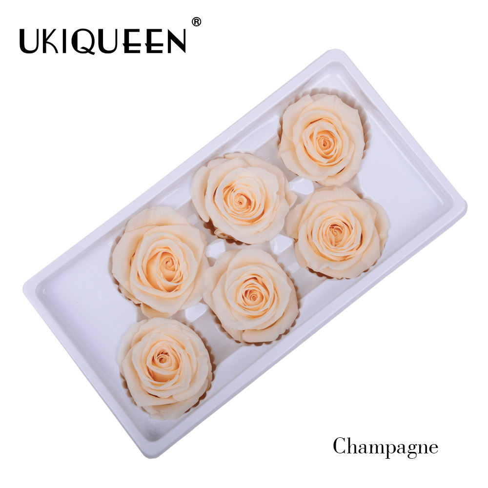Champagne 11