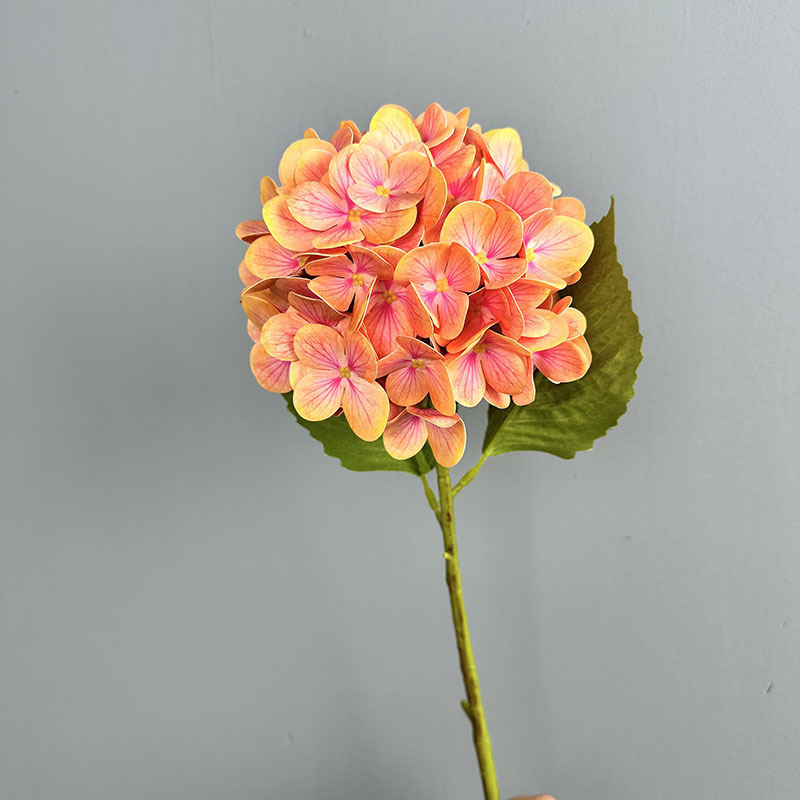 Orange 1