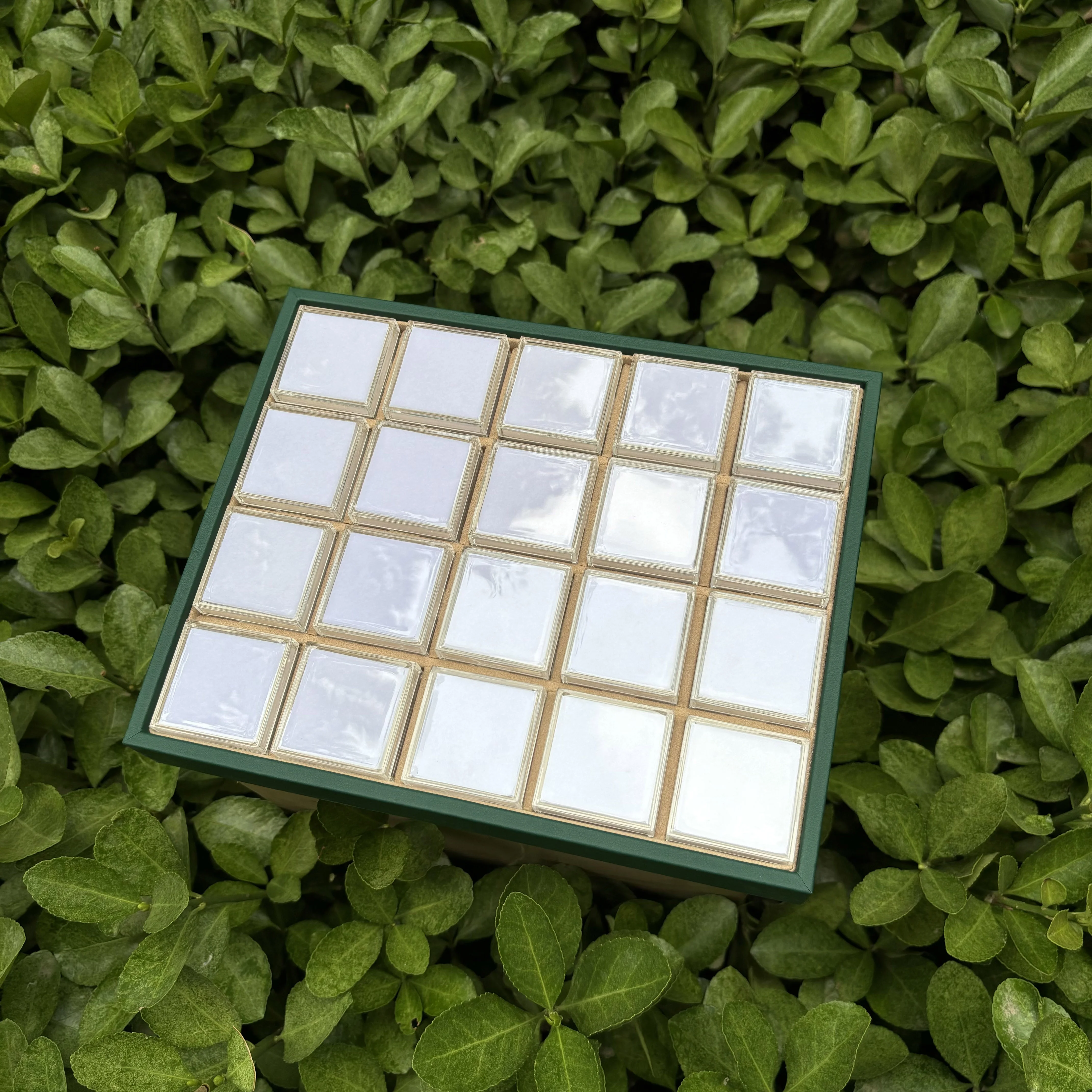 Éponge blanche + plateau vert