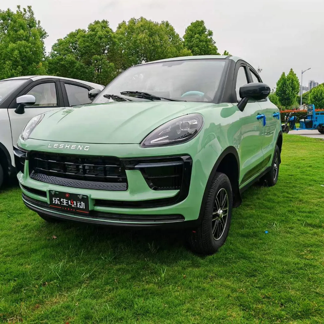 Coche eléctrico de baja velocidad, modelo EW, 2023 N