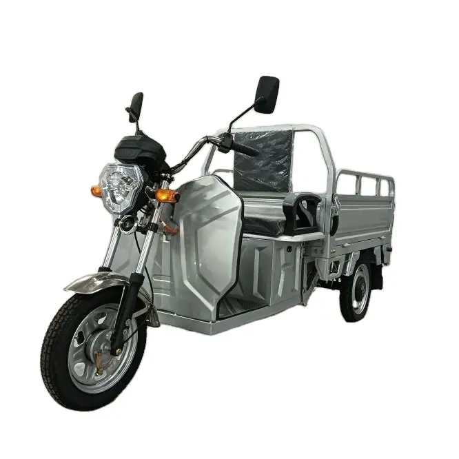 Venta caliente motocicleta de 3 ruedas 48V500W motor de cambio Popular mejores servicios E-motor Triciclos eléctricos de alto rendimiento Ca eléctrica