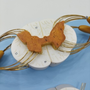 医学教育10倍の拡大骨骨髄神経枝横断セクション脊髄モデルトレーニング用 - Product Image 3