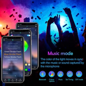 5M 10M RGBICスマートLEDキット音楽同期アプリリモコンUSB5VLedストリップライト寝室用TVPCバックライトアンビエント