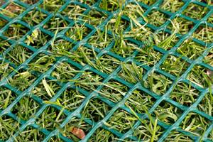 Nhà cung cấp Nhà máy 100% HDPE 660gsm Turf cỏ tăng cường bảo vệ lưới nhựa - Product Image 5