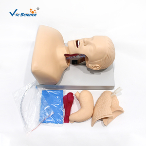 Advanced <strong>Human</strong> Tracheal Intubation Training Model - Product Image 4
