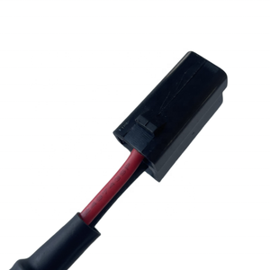通用德尔福2973781 2984883的2针连接器-通用LS交换K20交换工厂 - Product Image 4