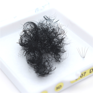 Stok Loose gevşek Promade hacmi Fan kirpik uzatma 20d rus Wispy 0.05 0.07 C D Pro Made Made 16d 10d uzun kök Promade - Product Image 5