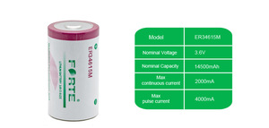 Er 34615M Forte Er34615 M <span class=keywords><strong>3</strong></span>.6V 14.5ah Lithium Primaire Batterij Li-SOCl2 Batterij - Product Image 3