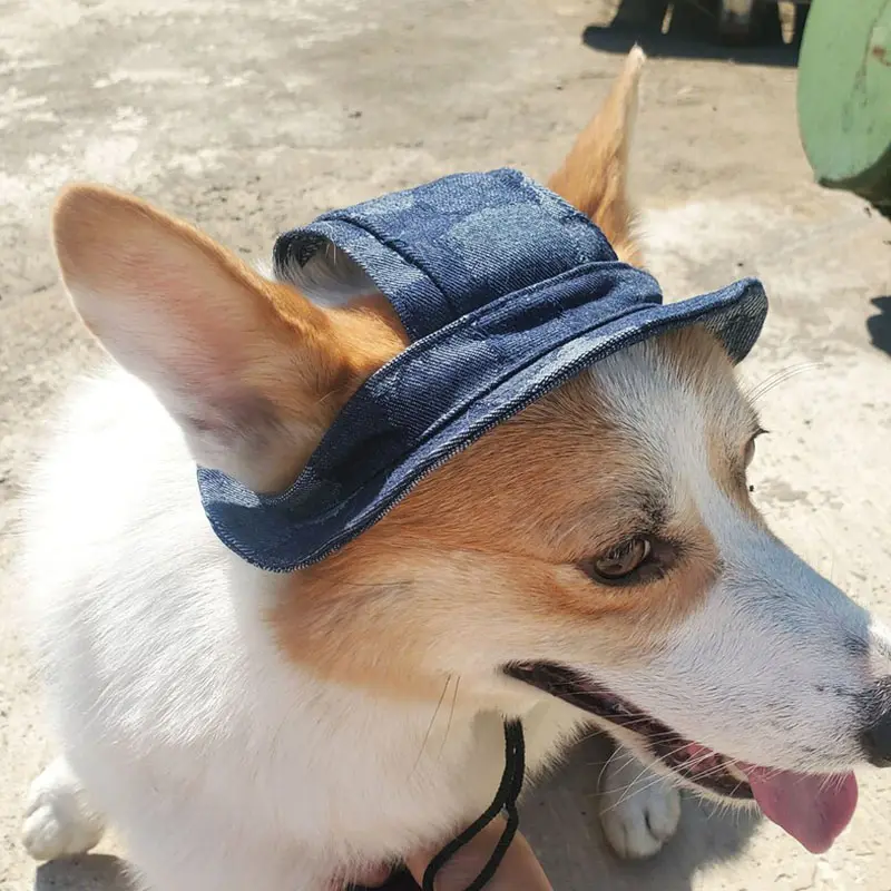 ใหม่รอบหมวกสุนัขที่มีรูหูหมวกระบายอากาศสัตว์เลี้ยงลูกสุนัขVisorเจ้าหญิงSunbonnetน่ารักปรับเบสบอลหมวก