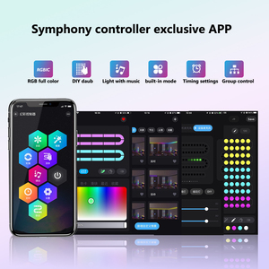 WiFi BLE Addressable RGBIC Music Sync Voice App Wireless <strong>DMX</strong> Programmable Digital Strip Rope Matrix Pixel RGB <strong>Led</strong> <strong>Controller</strong> - Product Image 4