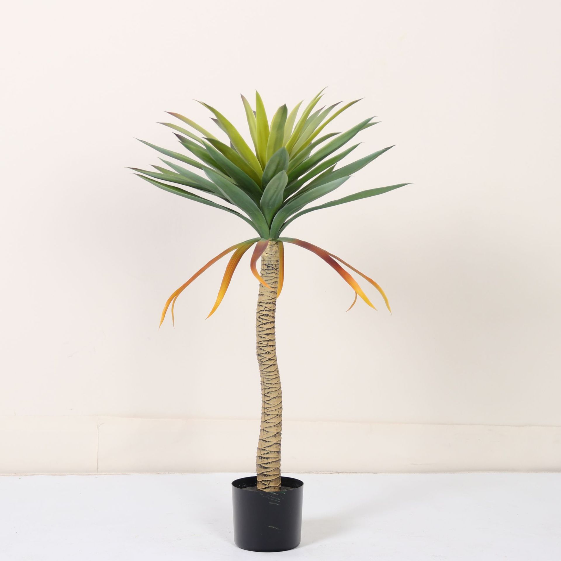 Agave queue de phénix 90cm