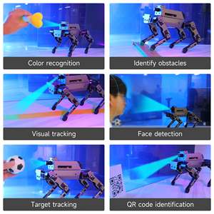 12DOF masaüstü Metal Robot köpek biyonik DOGZILLA S1 AI görüş kamera ahududu Pi için 4B desteği Python programlama