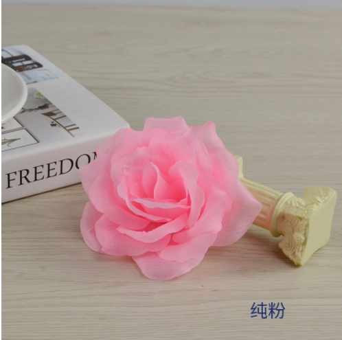 Rosa puro