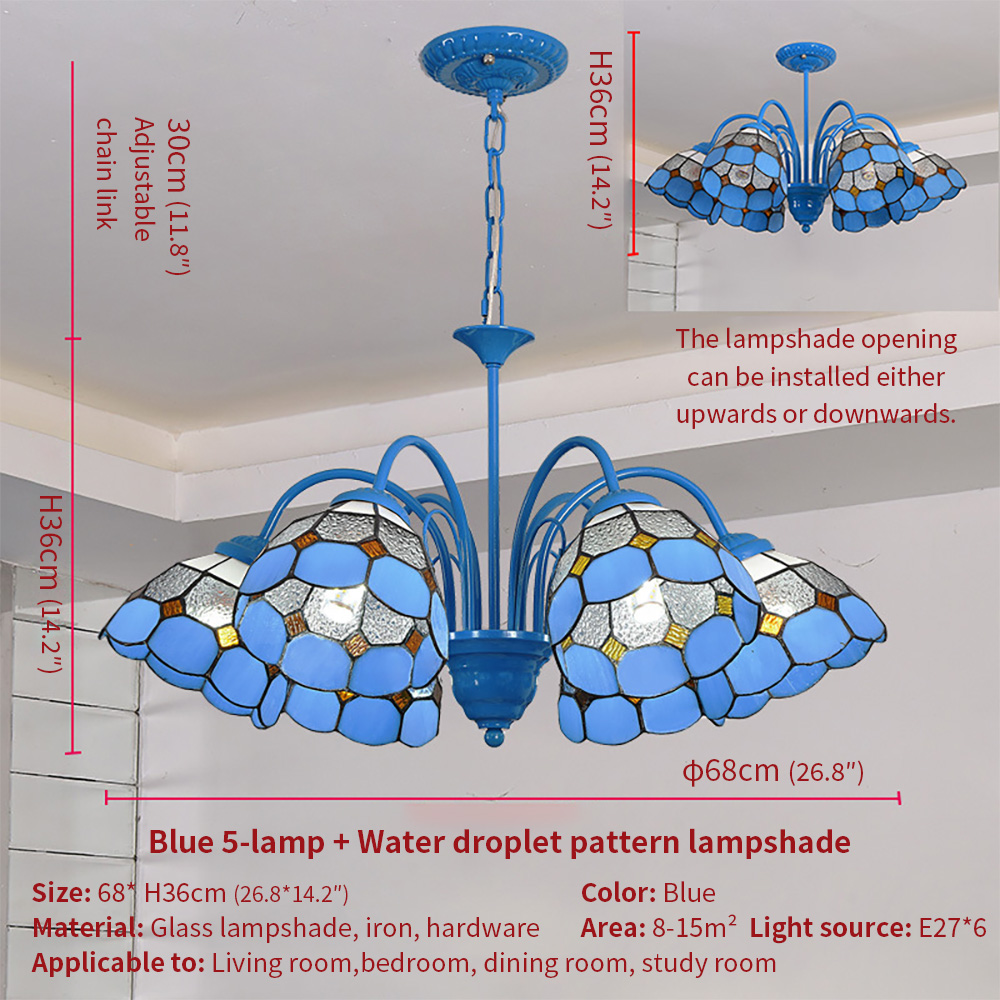 D1 6 têtes bleu