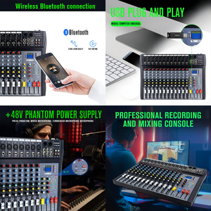 Demao CT12 consola mezcladora profesional de 12 canales mezclador de Audio de estudio para grabación de ordenador controlador de sonido - Product Image 5