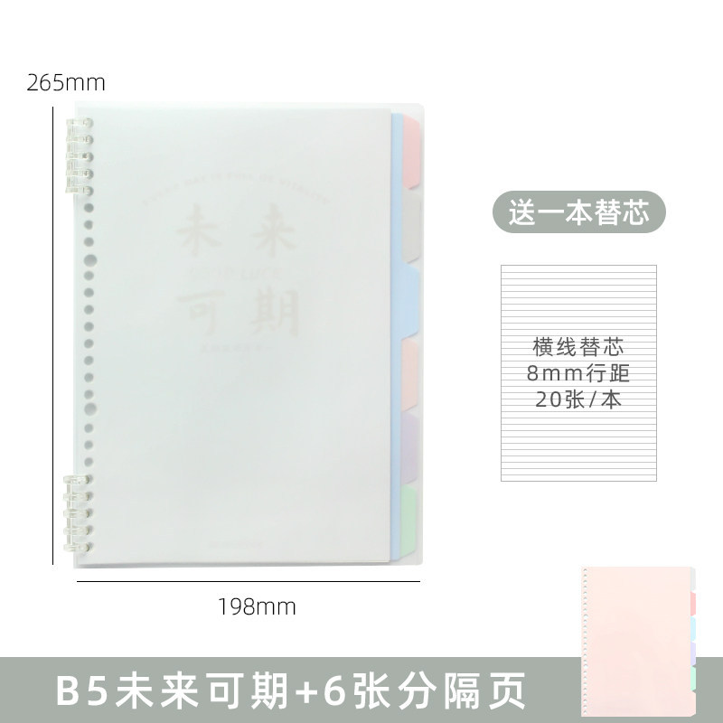 B5 future-proof cover + 6 divider pages