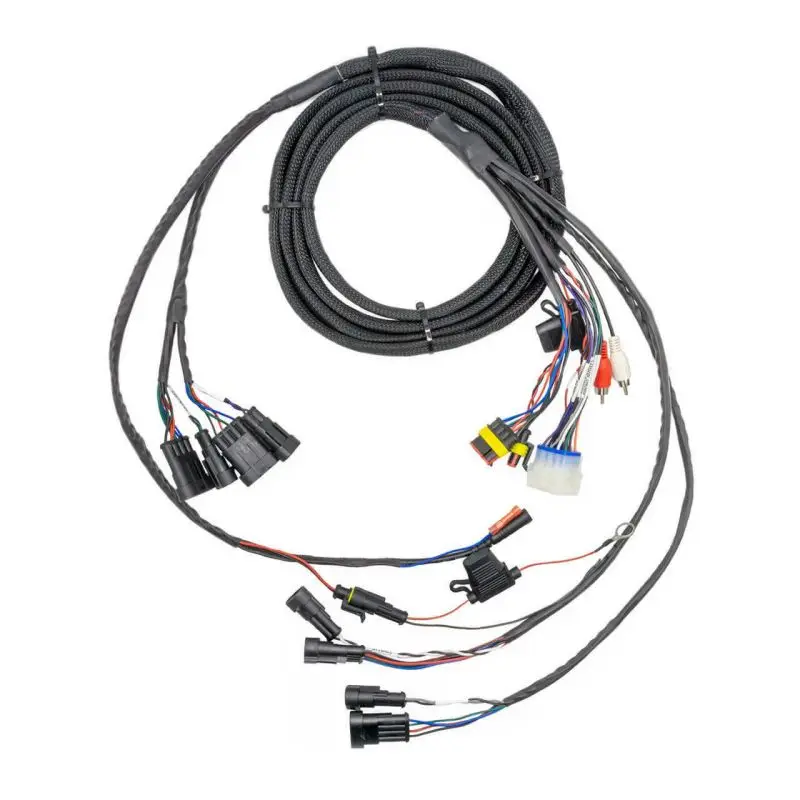 Customized Golf Cart wire Harness For Golf Cart Audio System