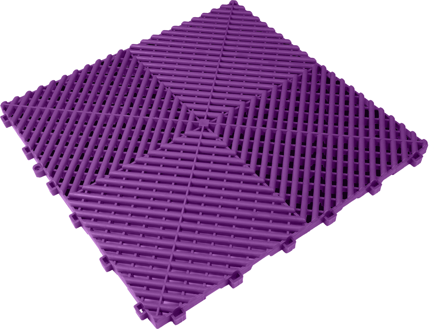 Viola
