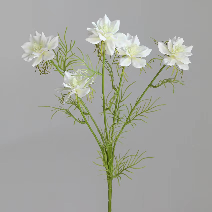 Blanc
