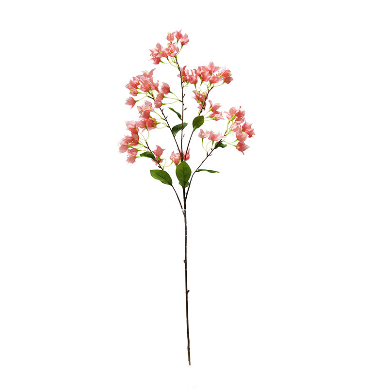 SKU-02