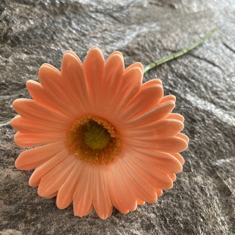 Rosa desnudo