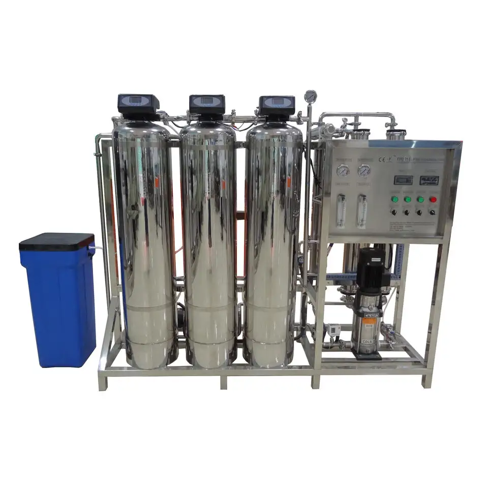 High Quality Stainless Steel Film Shell Water Purifier Treatment System 750LPH Mineral Water Production Factory