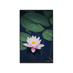 Rifornimento di fabbrica personalizzato 800x480 risoluzione 7 pollici TFT schermo LCD Touch Screen piccolo pannello Lcd TFT Display - Product Image 6