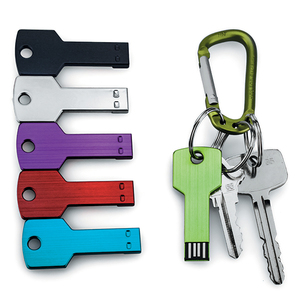 激光金属钥匙形状usb 16mb usb pendrive pendrive带钥匙扣小工具通用闪存盘 - Product Image 3