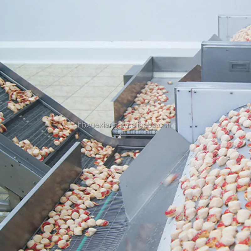 Flüssignitrogen-IQF Schnellgefriermaschine Schnellgefriertunnel für Lebensmittelfabrik Verwendung Gemüse Fleisch Meeresfrüchte