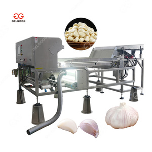 Clasificador de color óptico de frutas y verduras Máquina clasificadora de color de ajo pelado para ajo - Product Image 1