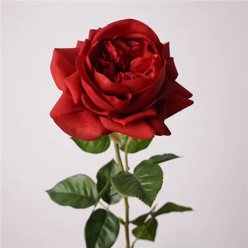 Rouge
