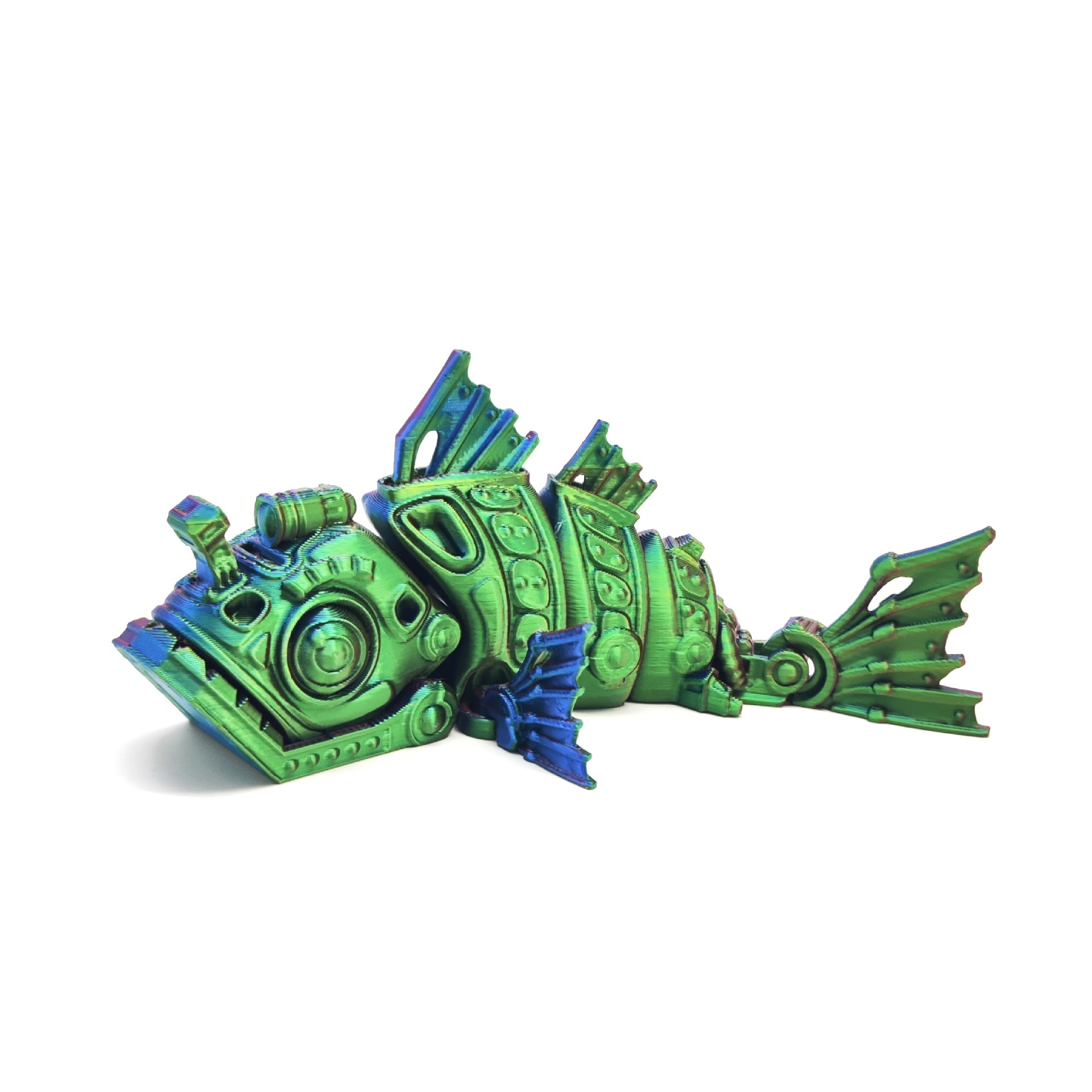 Coloré - Poisson Ankang