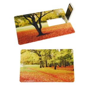Promotional Super Thin Usb <strong>Flash</strong> Drive Recharge High <strong>Speed</strong> Gift Usb Credit Card Smart Device <strong>Memory</strong> Card Usb 2.0 3.0 - Product Image 4