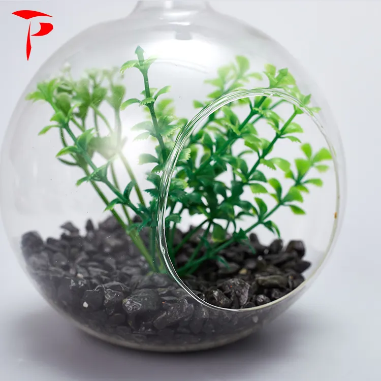 교수형 Terrarium 유리 꽃병 인공 즙이 많은 식물
