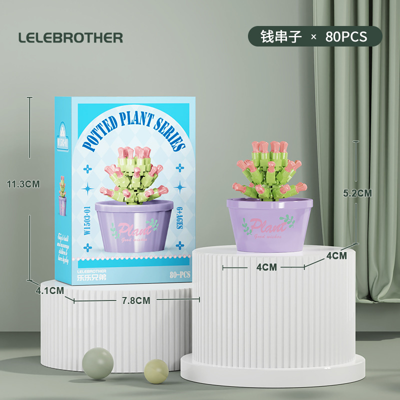 W1503-01 money string 80pcs