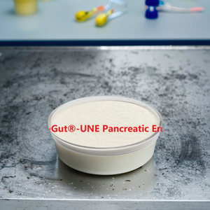 Số lượng lớn sức khỏe đường ruột <span class=keywords><strong>Enzyme</strong></span> Probiotics cho chăm sóc sức khỏe - Product Image 2