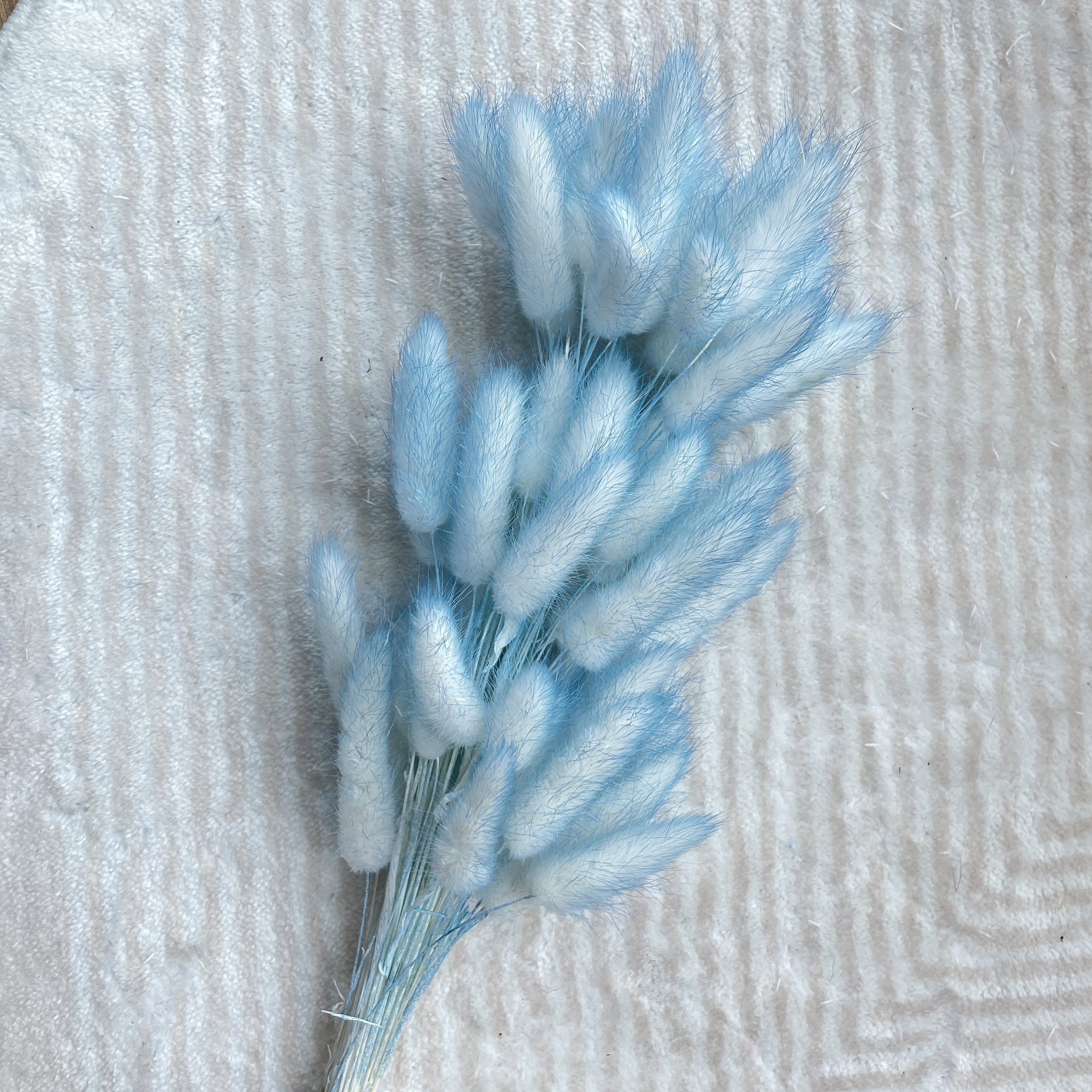 Bleu1