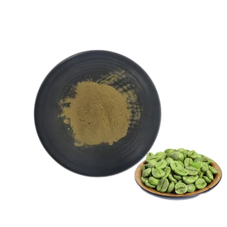 GMP-extracto de granos de café verde, Natural antioxidante ácido clorogénico, estándar
