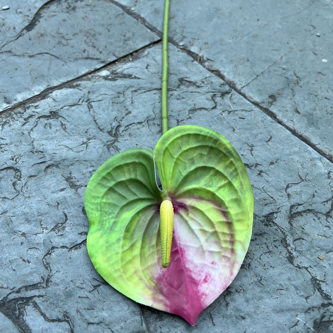 Verde scuro
