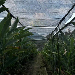 Red de sombra duradera para proteger las plantas vegetales y frutales de la luz solar intensa - Product Image 1