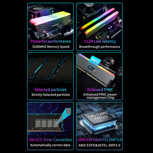 Asgard W2 DDR5 5200MHz 32GBメモリRAM DDR55200 MHz 5600MHz 16GB x2 Memoria RAM DDR5 RGB XMP3.0 - Product Image 3