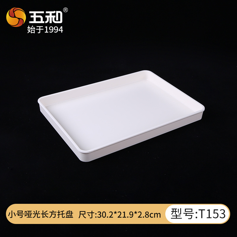 Small Matte Rectangular Tray T153