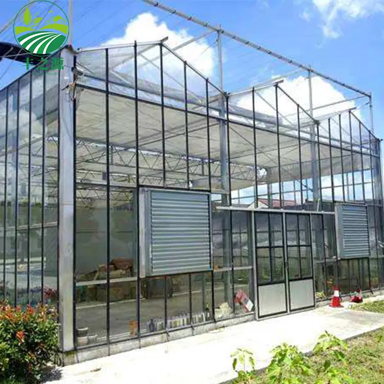 Invernadero hidropónico comercial para verduras/Flores/cría de semillas/tomate/pepino/fresa