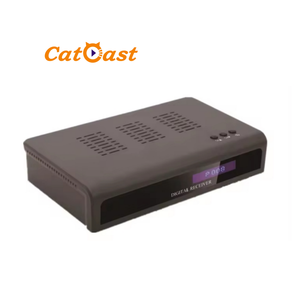Digitale Via Cavo STB DVB-C HD H.264/H.265 Decoder con CAS Software di Set Top Box